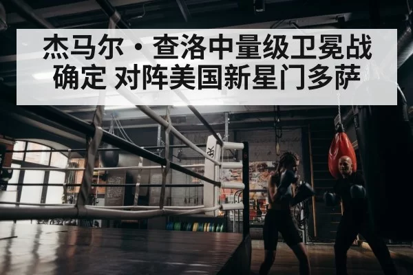 boxer training