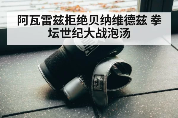 阿瓦雷兹拒绝贝纳维德兹 拳坛世纪大战泡汤