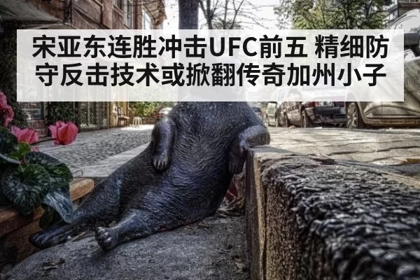 宋亚东连胜冲击UFC前五 精细防守反击技术或掀翻传奇加州小子（ayx）